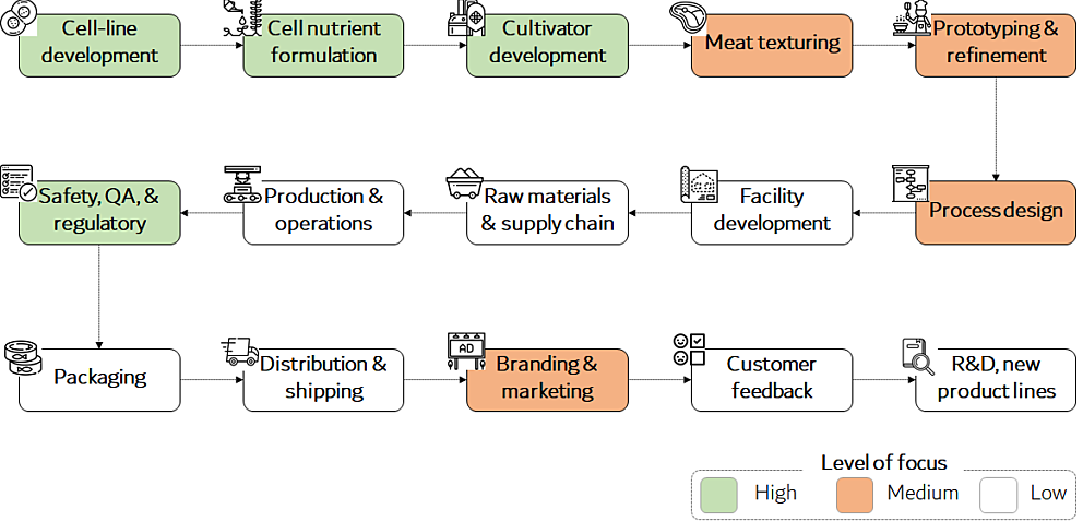 Chart showing the value chain of a cultivated meat company